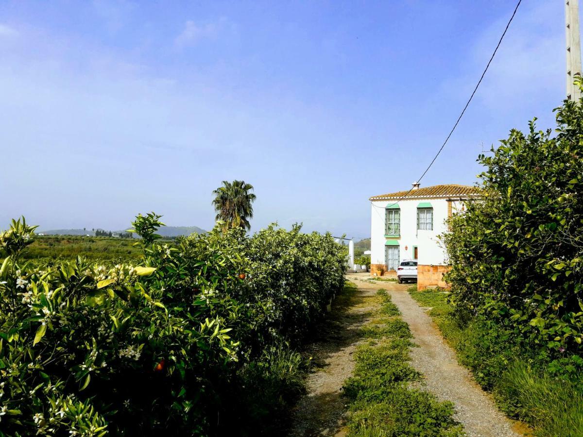 Casa Rural La Estrella Pizarra Eksteriør billede